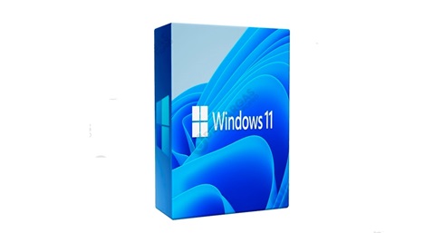 Microsoft Windows 11 Pro 64bits Español